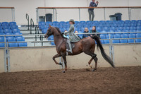2019 Morgan Horse Show - Aug 31, 2019 - 07664