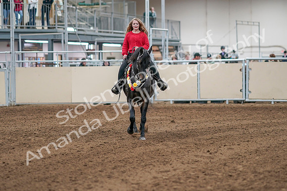 2020 - AB Morgan Horse - Sat, Sept 05 - 10522