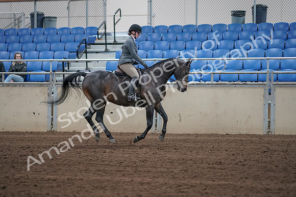 2019 Morgan Horse Show - Sept 01, 2019 - 11094