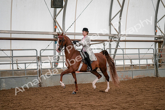 July 19, 2019 - 10412