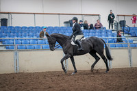 2019 Morgan Horse Show - Aug 31, 2019 - 14634