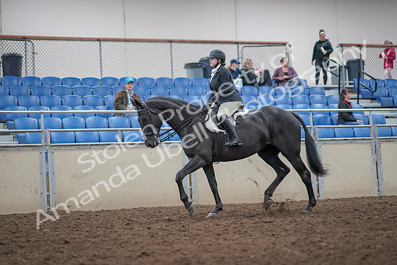 2019 Morgan Horse Show - Aug 31, 2019 - 14634