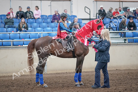 2019 Morgan Horse Show - Aug 31, 2019 - 10184