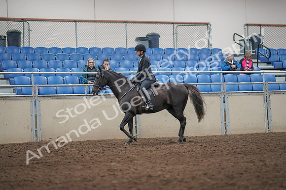 2019 Morgan Horse Show - Aug 31, 2019 - 07171