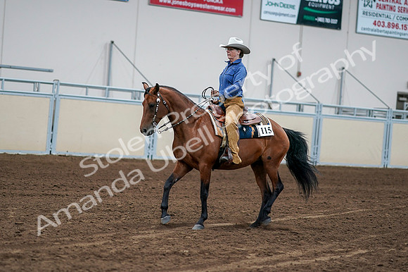 2020 - AB Morgan Horse - Fri, Sept 04 - 00150