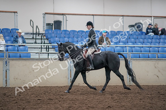 2019 Morgan Horse Show - Aug 31, 2019 - 14975