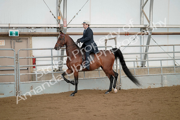 July 21, 2019 - 01662