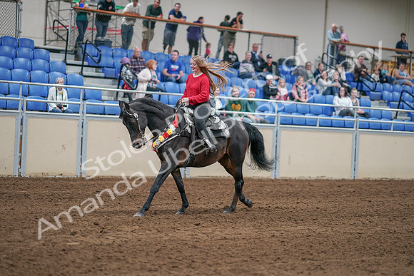 2020 - AB Morgan Horse - Sat, Sept 05 - 10456