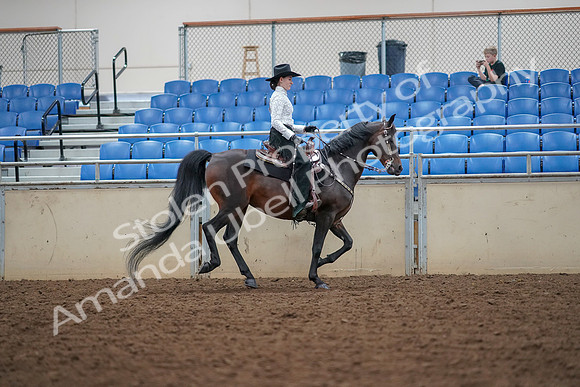 2019 Morgan Horse Show - Aug 30, 2019 - 16963