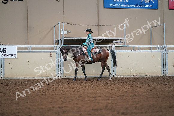 2019 Morgan Horse Show - Aug 30, 2019 - 16803