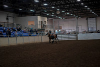 2019 Morgan Horse Show - Aug 31, 2019 - 01480