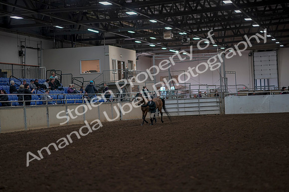 2019 Morgan Horse Show - Aug 31, 2019 - 01480