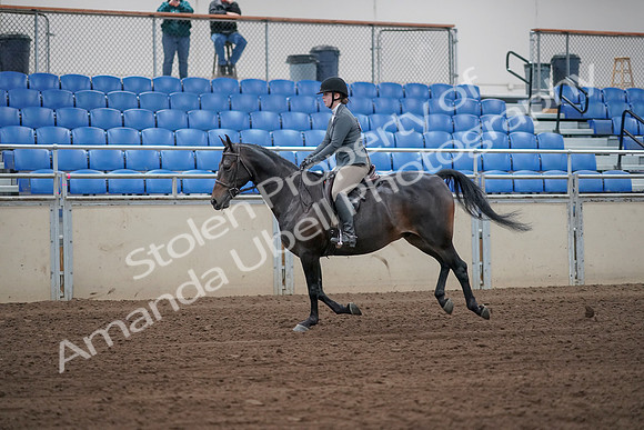 2019 Morgan Horse Show - Sept 01, 2019 - 10989_1