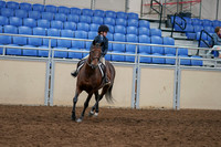 2020 - AB Morgan Horse - Sun, Sept 06 - 07681
