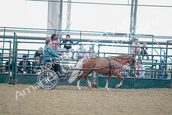 July 21, 2019 - 09057
