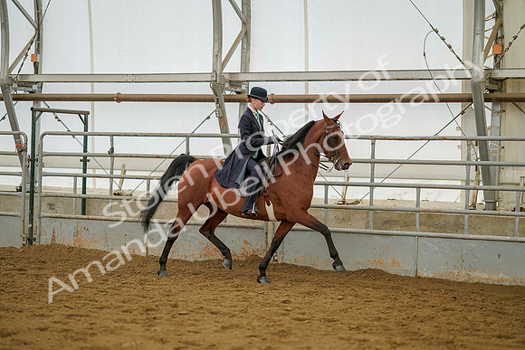 July 20, 2019 - 04621