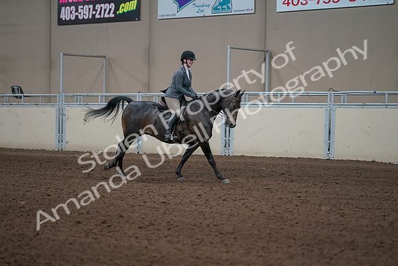 2019 Morgan Horse Show - Sept 01, 2019 - 11105
