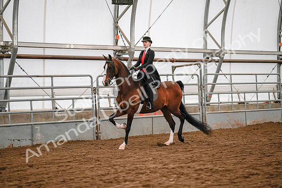 July 19, 2019 - 8712