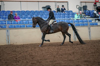 2019 Morgan Horse Show - Aug 30, 2019 - 19864