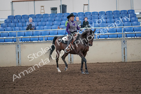 2019 Morgan Horse Show - Aug 31, 2019 - 10784