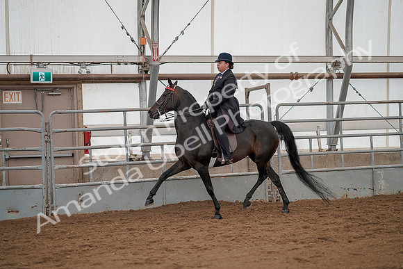 July 20, 2019 - 04487