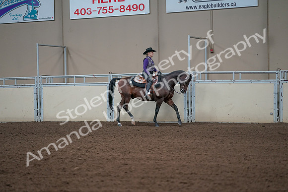 2019 Morgan Horse Show - Aug 31, 2019 - 10733