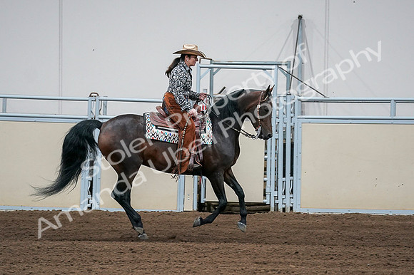 2020 - AB Morgan Horse - Fri, Sept 04 - 00422
