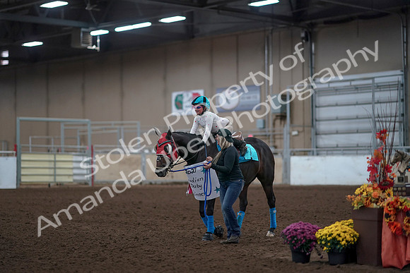 2019 Morgan Horse Show - Aug 31, 2019 - 10087