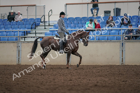 2019 Morgan Horse Show - Aug 31, 2019 - 07427