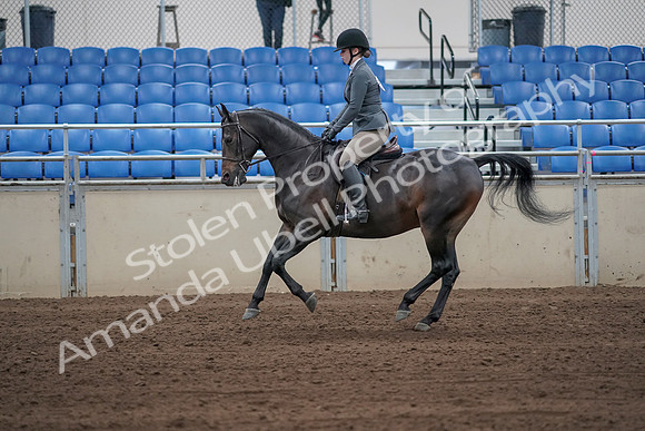 2019 Morgan Horse Show - Sept 01, 2019 - 10969