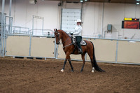 2020 - AB Morgan Horse - Fri, Sept 04 - 03465