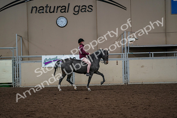 2019 Morgan Horse Show - Aug 30, 2019 - 31444