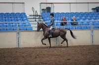 2019 Morgan Horse Show - Aug 31, 2019 - 16507