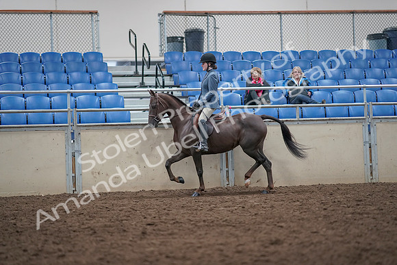 2019 Morgan Horse Show - Aug 31, 2019 - 16507