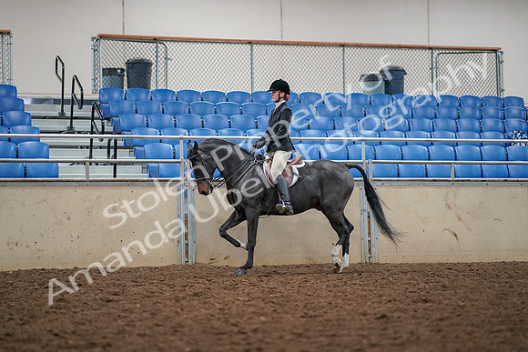 2019 Morgan Horse Show - Aug 30, 2019 - 23279