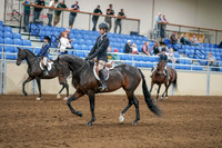 2020 - AB Morgan Horse - Sat, Sept 05 - 10604