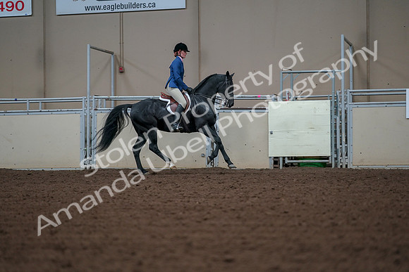 2019 Morgan Horse Show - Aug 30, 2019 - 18615