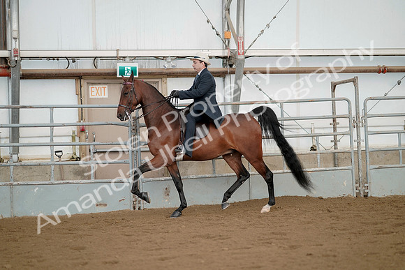 July 21, 2019 - 01671