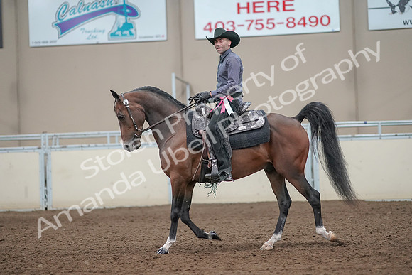 2019 Morgan Horse Show - Aug 31, 2019 - 06295