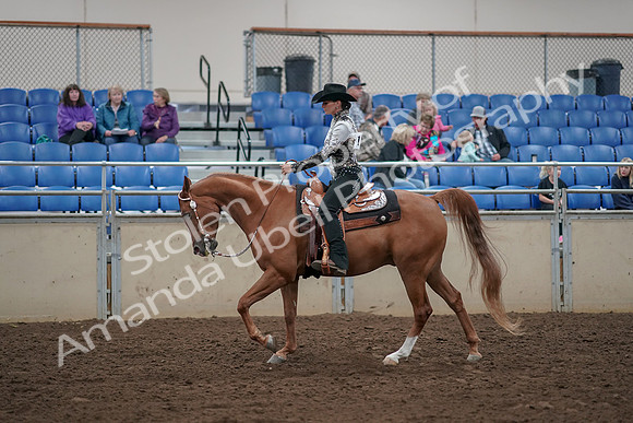2019 Morgan Horse Show - Aug 30, 2019 - 26107