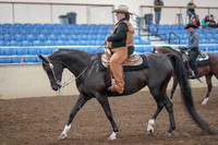 2019 Morgan Horse Show - Aug 31, 2019 - 06019