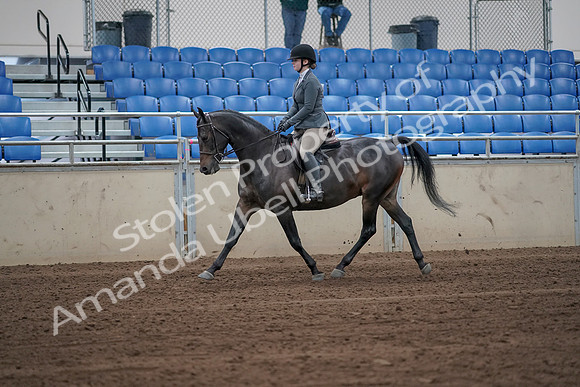 2019 Morgan Horse Show - Sept 01, 2019 - 10894_1