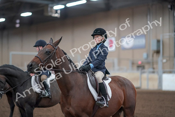 2019 Morgan Horse Show - Aug 31, 2019 - 19701