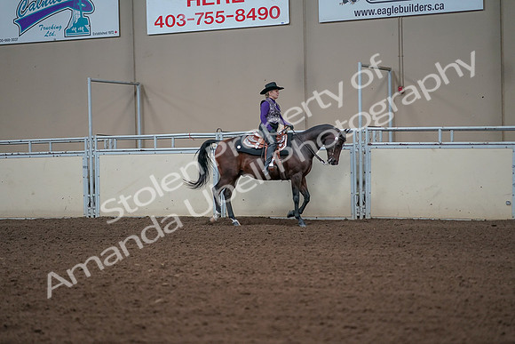 2019 Morgan Horse Show - Aug 31, 2019 - 10729