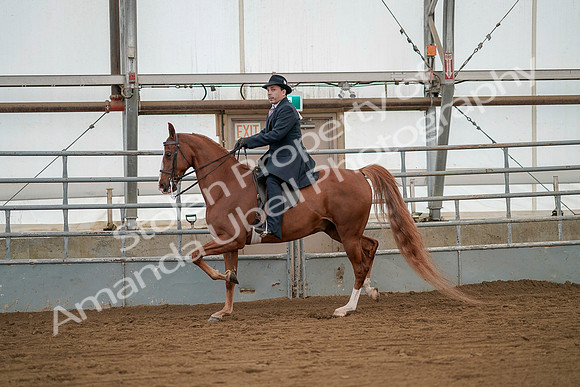 July 20, 2019 - 02098