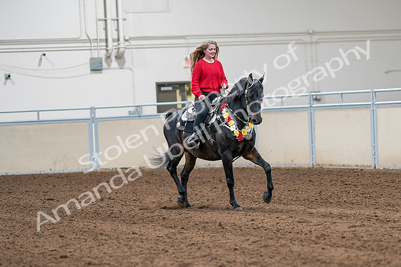 2020 - AB Morgan Horse - Sat, Sept 05 - 10492