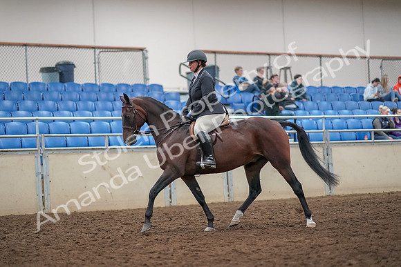 2019 Morgan Horse Show - Aug 30, 2019 - 29223