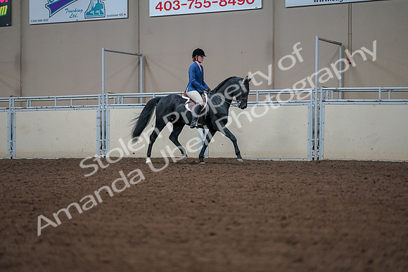 2019 Morgan Horse Show - Aug 30, 2019 - 18547