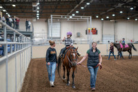 2020 - AB Morgan Horse - Sat, Sept 05 - 10073