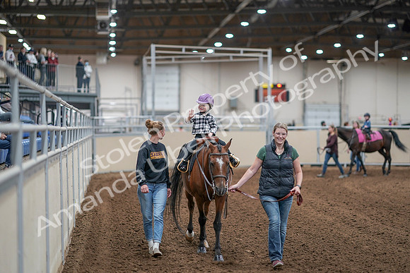 2020 - AB Morgan Horse - Sat, Sept 05 - 10073